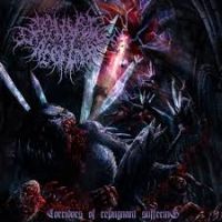 Orgiastric Rebirth - Corridors Of Repugnant Suffering